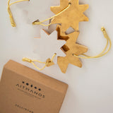 Zellistar White & Gold 18K